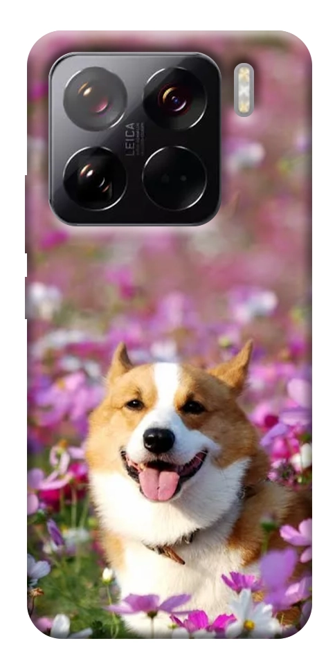Чохол Коргі в квітах для Xiaomi 15 Pro
