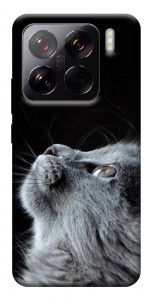 Чехол Cute cat для Xiaomi 15 Pro