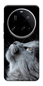 Чехол Cute cat для Xiaomi 15 Ultra