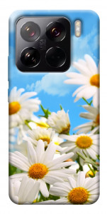 Чехол Ромашковое поле для Xiaomi 15 Pro