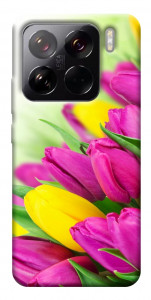Чехол Красочные тюльпаны для Xiaomi 15 Pro