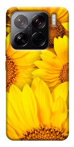 Чехол Букет подсолнухов для Xiaomi 15 Pro