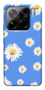 Чехол Chamomile pattern для Xiaomi 15 Pro