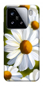 Чохол Ароматна ромашка для Xiaomi 15
