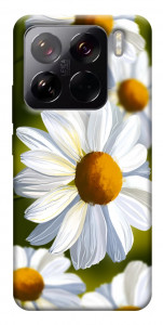 Чехол Ароматная ромашка для Xiaomi 15 Pro