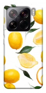 Чехол Lemons для Xiaomi 15 Pro