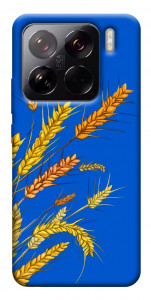 Чехол Колоски для Xiaomi 15 Pro
