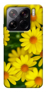 Чехол Yellow chamomiles для Xiaomi 15 Pro