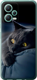 Чехол для Xiaomi Redmi Note 12 5G Дымчатый кот (Серый)