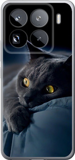 Чехол для Xiaomi 15 Pro Дымчатый кот (Серый)