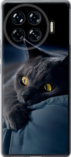 Чехол для Tecno Spark 20 Pro+ Димчастий кіт (Сірий)