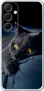 Чехол для Samsung Galaxy A55 Дымчатый кот (Серый)