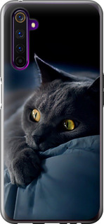 Чехол для Realme 6 Pro Дымчатый кот (Серый)