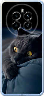 Чехол для Realme 12 4G Дымчатый кот (Серый)