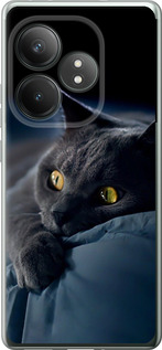 Чохол для Realme GT Neo6 SE Димчастий кіт (Сірий)