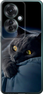 Чохол для Oppo Reno11 F Димчастий кіт (Сірий)