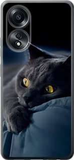 Чехол для Oppo A58 4G Димчастий кіт (Сірий)