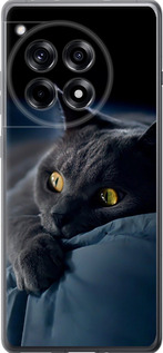 Чехол для OnePlus 12R Дымчатый кот (Серый)