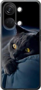 Чохол для OnePlus Nord 3 Димчастий кіт (Сірий)