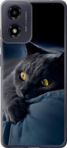 Чохол для Motorola Moto G04 Димчастий кіт (Сірий)