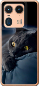 Чехол для Motorola Edge 50 Ultra Дымчатый кот (Серый)