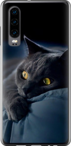 Чехол для Huawei P30 Дымчатый кот (Серый)