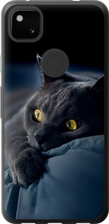 Чохол для Google Pixel 4A Димчастий кіт (Сірий)