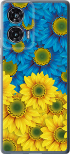 Чехол для Motorola Edge 50 Fusion Жёлто-голубые цветы (Желтый)