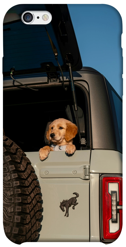 Чехол Dog in the car для iPhone 6