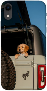 Чохол Dog in the car для iPhone XR