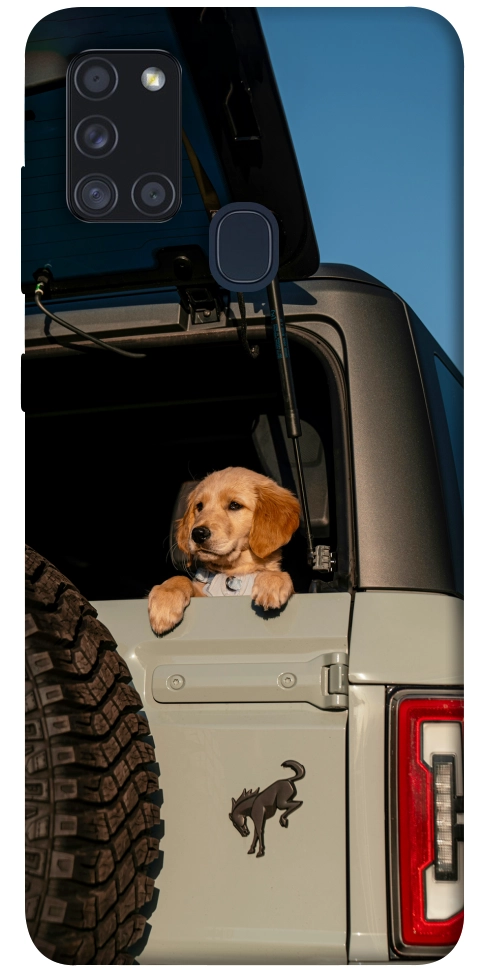 Чохол Dog in the car для Galaxy A21s (2020)