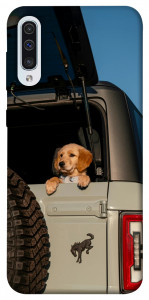 Чохол Dog in the car для Samsung Galaxy A30s