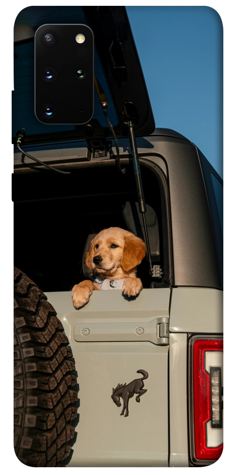 Чохол Dog in the car для Galaxy S20 Plus (2020)