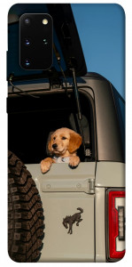 Чохол Dog in the car для Galaxy S20 Plus (2020)