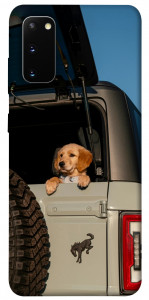 Чохол Dog in the car для Galaxy S20 (2020)