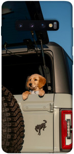 Чохол Dog in the car для Galaxy S10 Plus (2019)