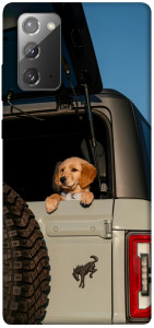 Чехол Dog in the car для Galaxy Note 20