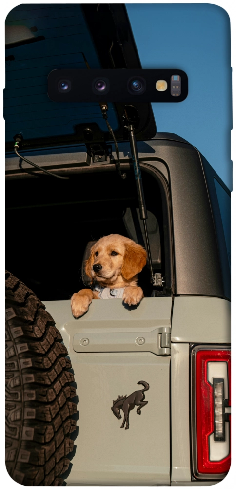 Чохол Dog in the car для Galaxy S10 (2019)