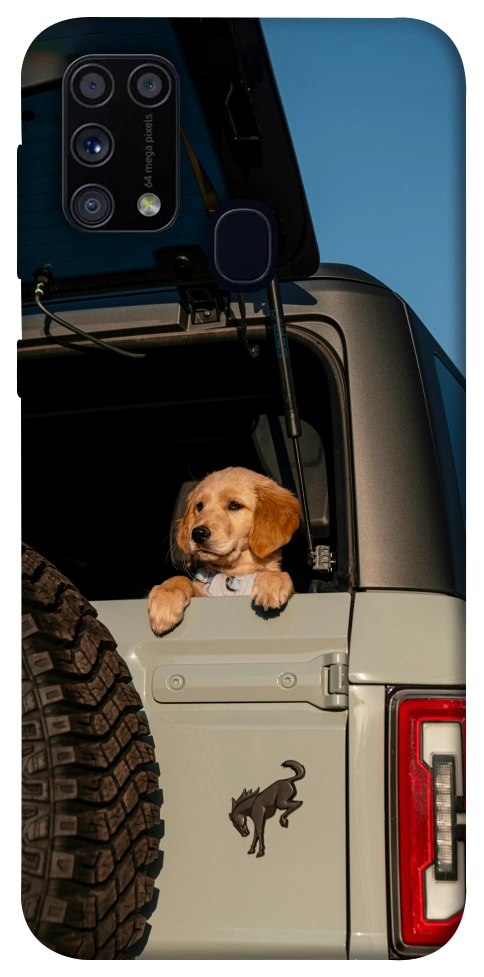 Чохол Dog in the car для Galaxy M31 (2020)