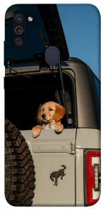 Чохол Dog in the car для Galaxy M11 (2020)