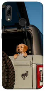 Чохол Dog in the car для Huawei P Smart (2019)