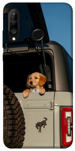 Чехол Dog in the car для Huawei P30 Lite
