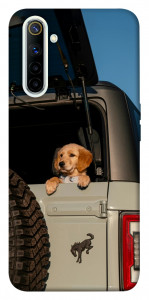 Чохол Dog in the car для Realme 6