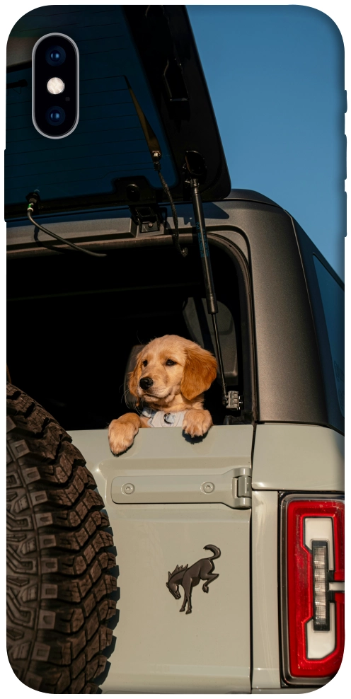 Чохол Dog in the car для iPhone XS