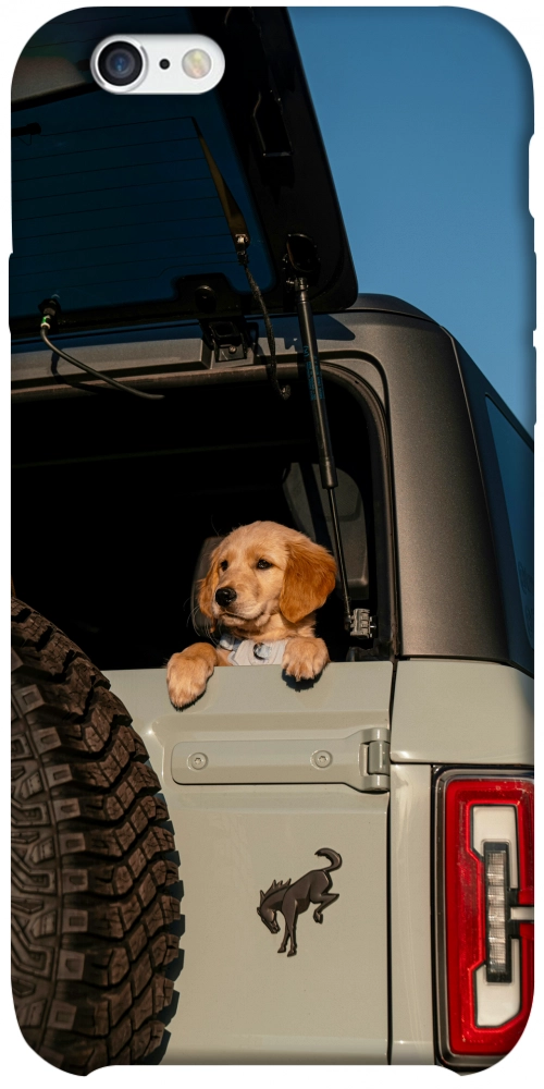 Чехол Dog in the car для iPhone 6S Plus