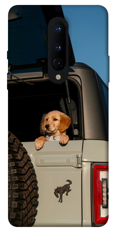 Чохол Dog in the car для OnePlus 8
