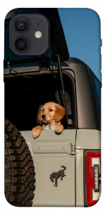 Чехол Dog in the car для iPhone 12
