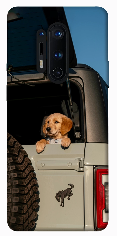 Чохол Dog in the car для OnePlus 8 Pro
