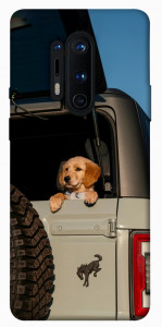 Чохол Dog in the car для OnePlus 8 Pro