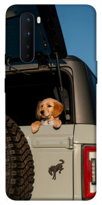 Чохол Dog in the car для OnePlus Nord